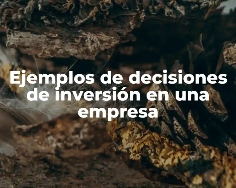 Ejemplos de decisiones de inversión en una empresa