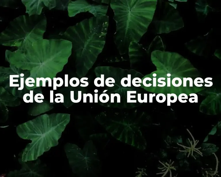Ejemplos de decisiones de la Unión Europea