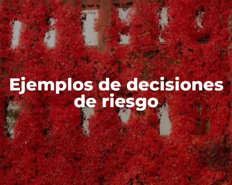 Ejemplos de decisiones de riesgo