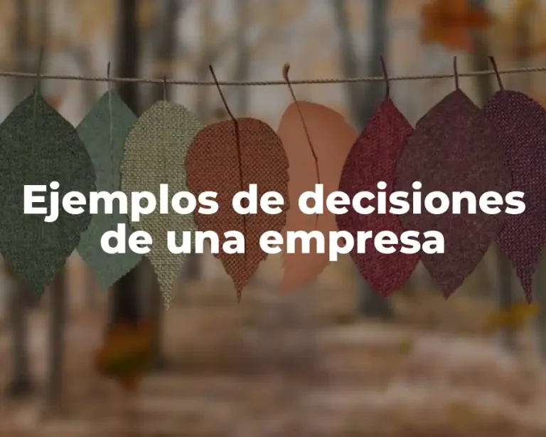 Ejemplos de decisiones de una empresa