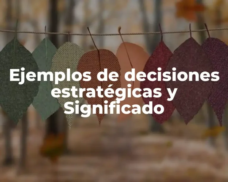 Ejemplos de decisiones estratégicas y Significado