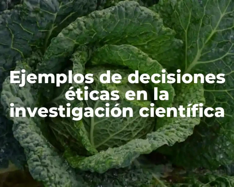 Ejemplos de decisiones éticas en la investigación científica