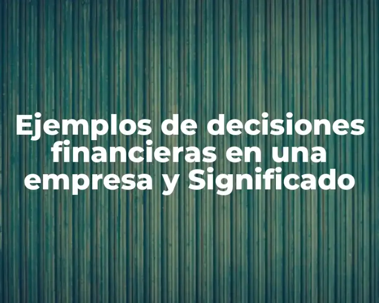 Ejemplos de decisiones financieras en una empresa y Significado