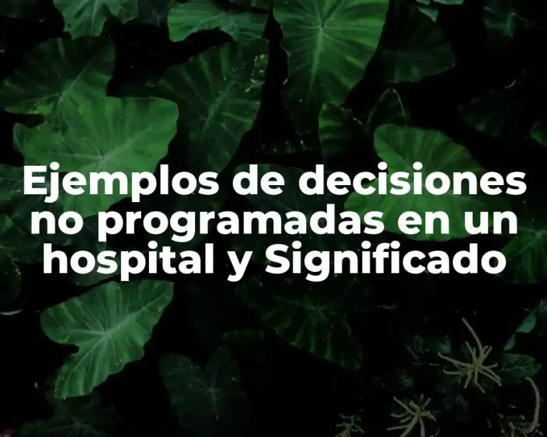 Ejemplos de decisiones no programadas en un hospital y Significado