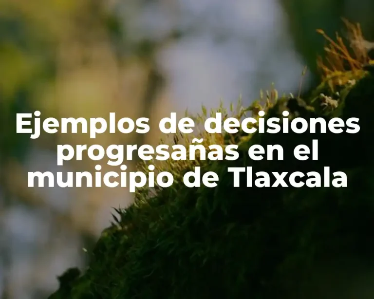 Ejemplos de decisiones progresañas en el municipio de Tlaxcala