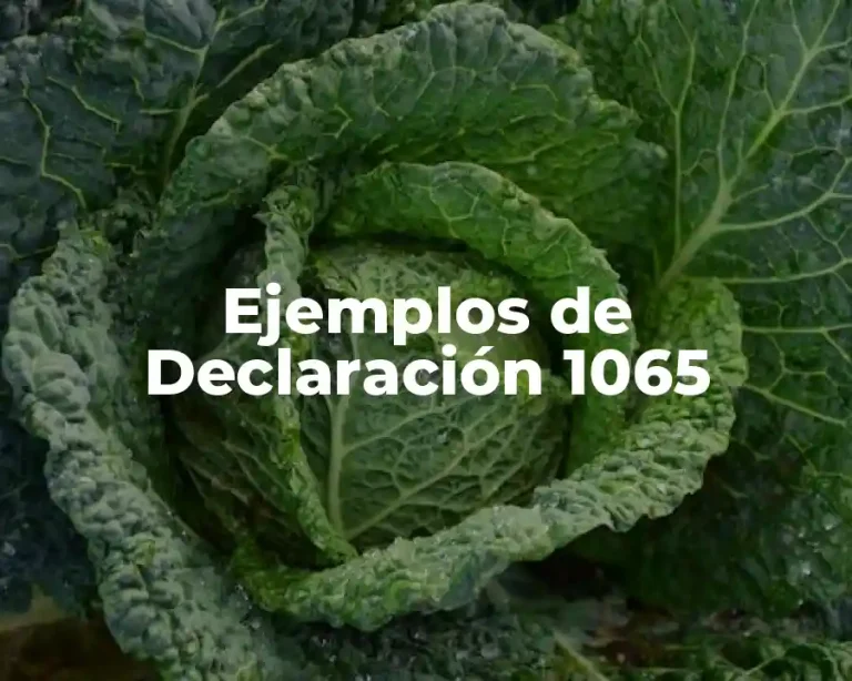Ejemplos de Declaración 1065