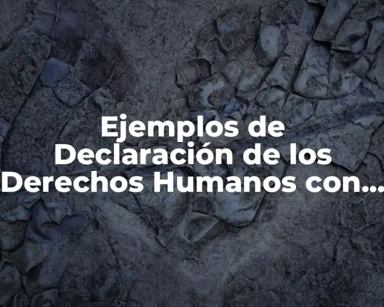 Ejemplos de Declaración de los Derechos Humanos con Imágenes