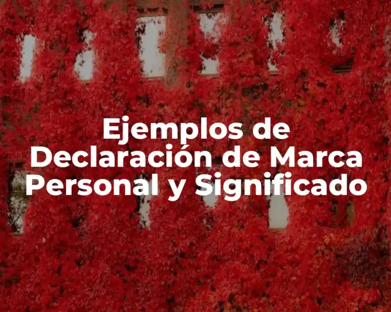 Ejemplos de Declaración de Marca Personal y Significado