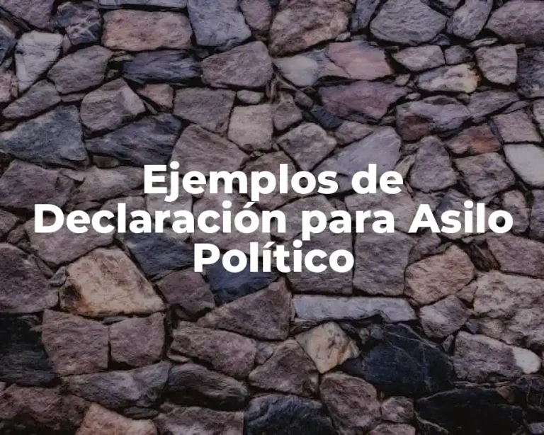 Ejemplos de Declaración para Asilo Político