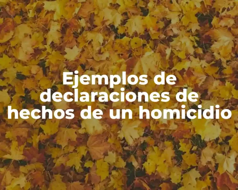 Ejemplos de declaraciones de hechos de un homicidio