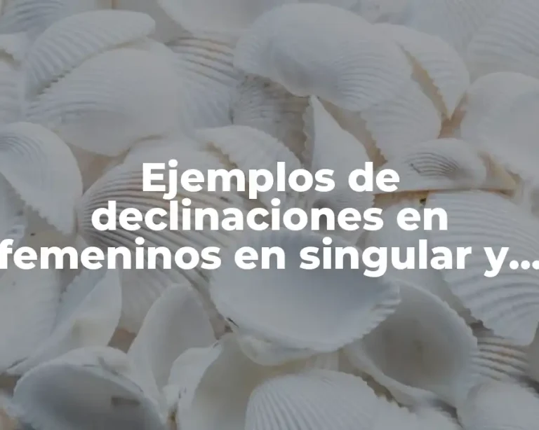 Ejemplos de declinaciones en femeninos en singular y plural