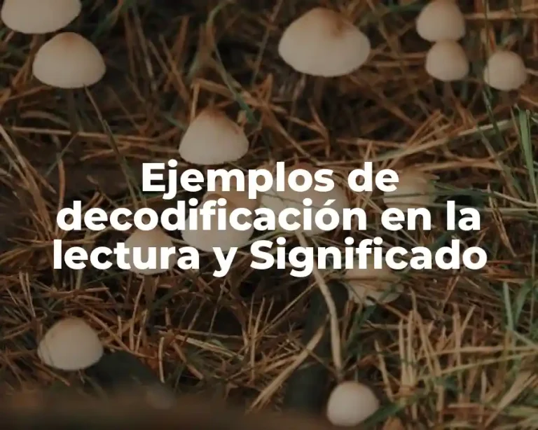 Ejemplos de decodificación en la lectura y Significado