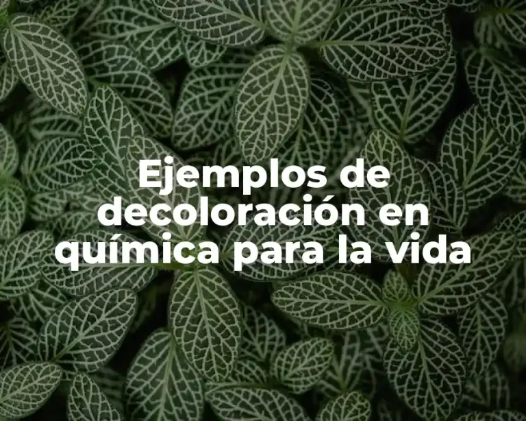 Ejemplos de decoloración en química para la vida