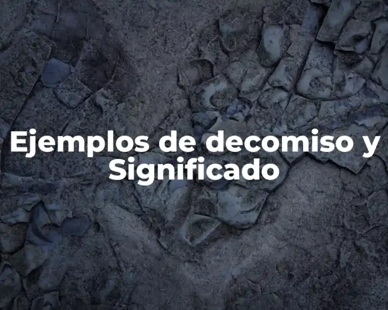 Ejemplos de decomiso y Significado