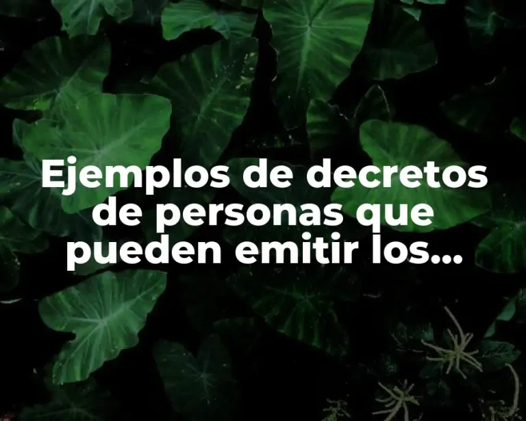 Ejemplos de decretos de personas que pueden emitir los decretos y Significado