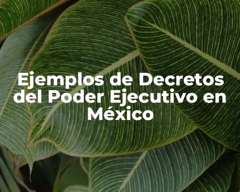 Ejemplos de Decretos del Poder Ejecutivo en México
