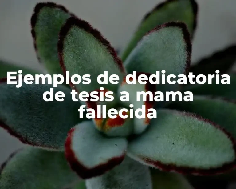Ejemplos de dedicatoria de tesis a mama fallecida