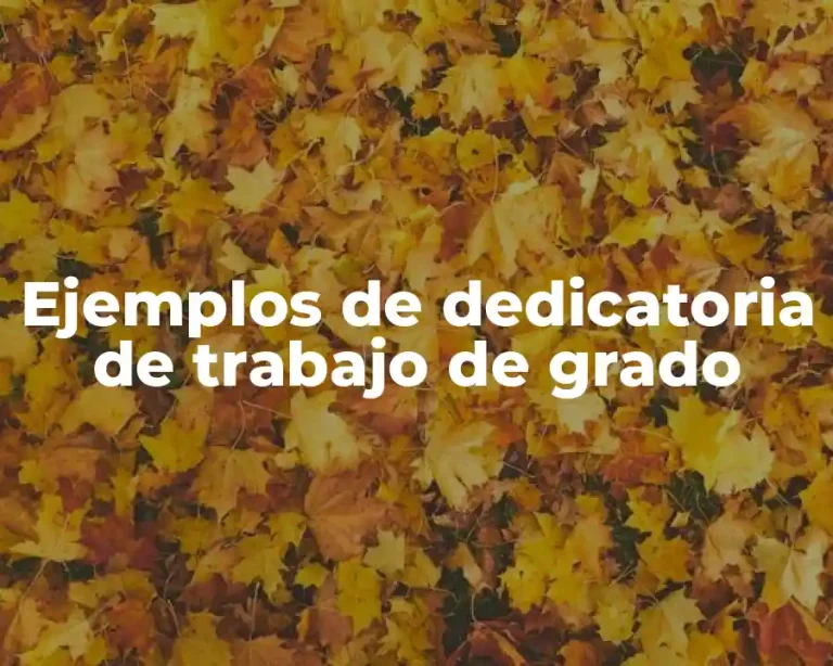 Ejemplos de dedicatoria de trabajo de grado