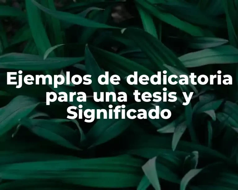 Ejemplos de dedicatoria para una tesis y Significado