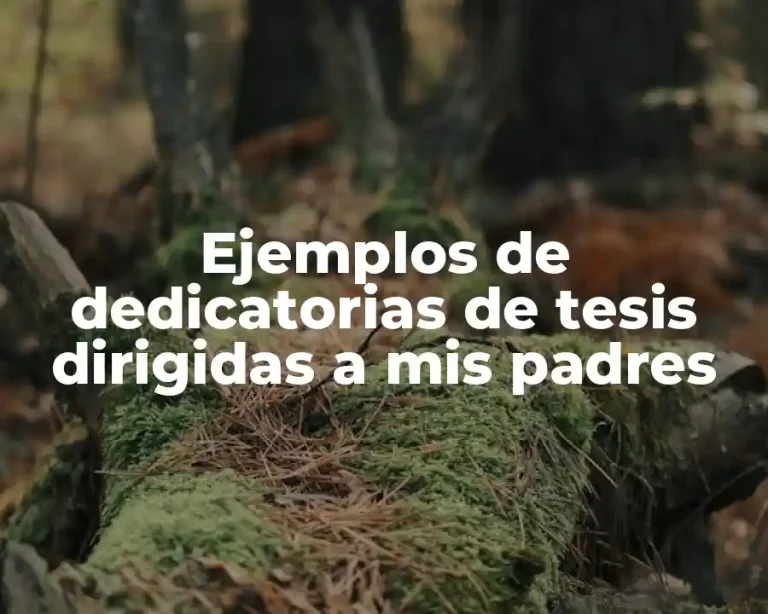 Ejemplos de dedicatorias de tesis dirigidas a mis padres