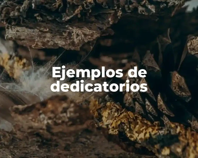 Ejemplos de dedicatorios