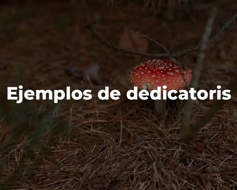 Ejemplos de dedicatoris