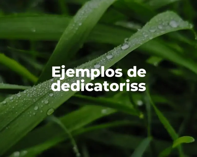 Ejemplos de dedicatoriss
