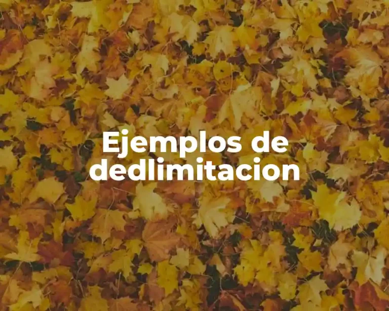 Ejemplos de dedlimitacion