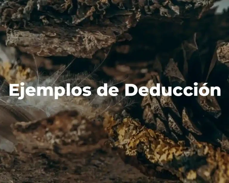 Ejemplos de Deducción