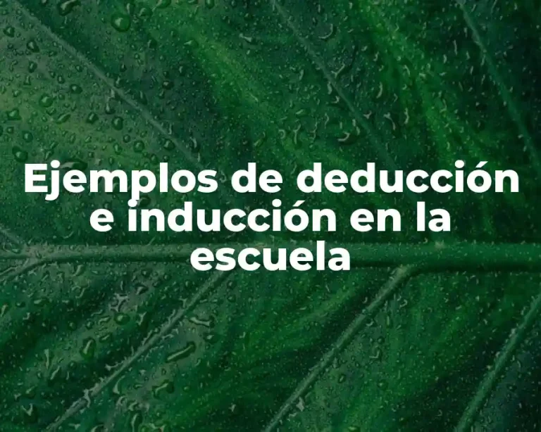 Ejemplos de deducción e inducción en la escuela