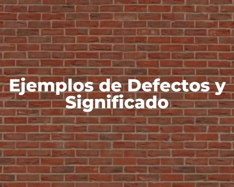 Ejemplos de Defectos y Significado