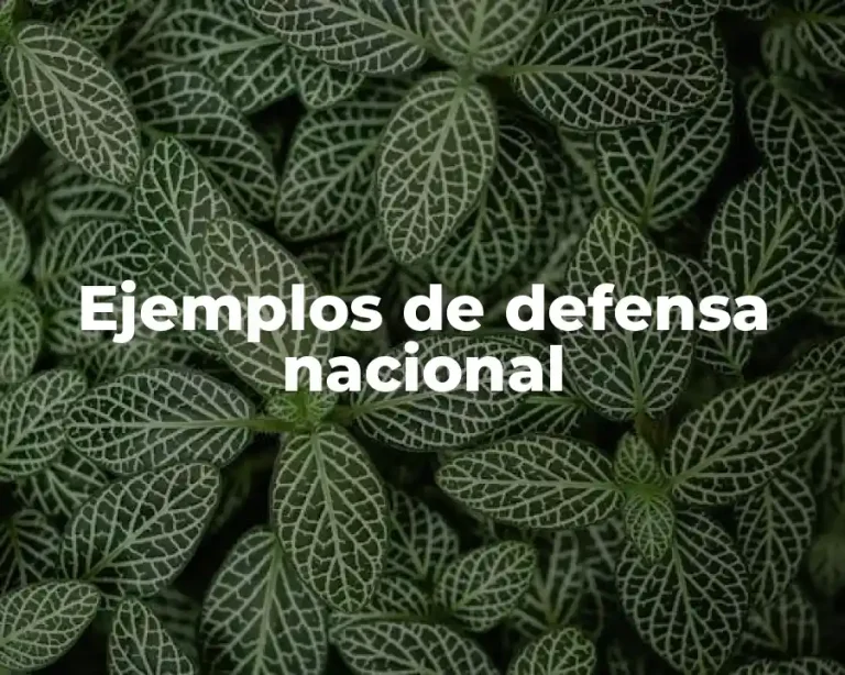 Ejemplos de defensa nacional