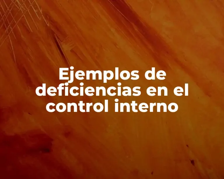 Ejemplos de deficiencias en el control interno