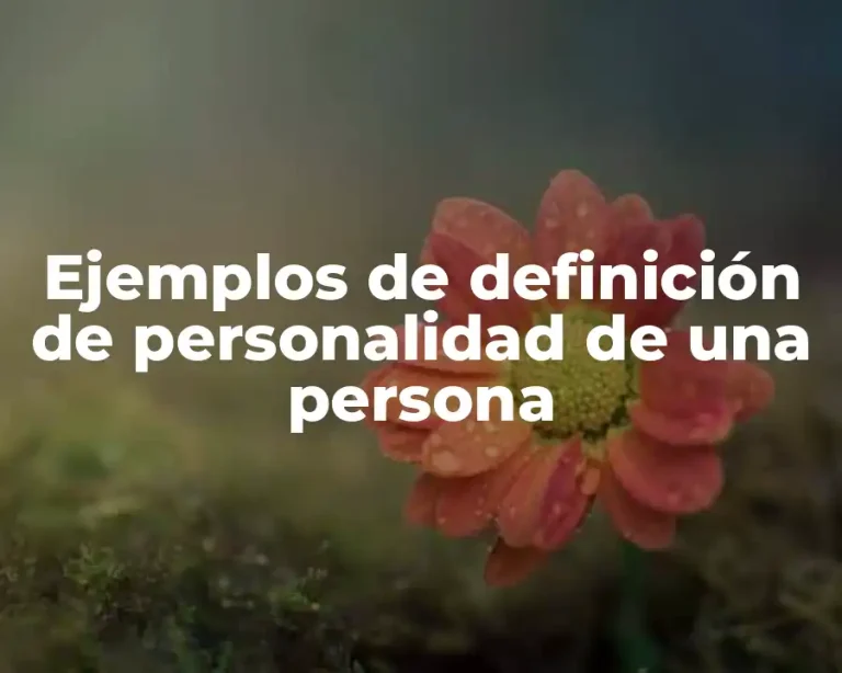 Ejemplos de definición de personalidad de una persona