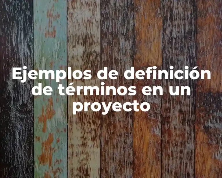 Ejemplos de definición de términos en un proyecto