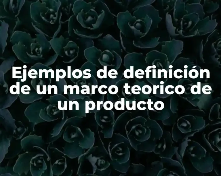 Ejemplos de definición de un marco teorico de un producto
