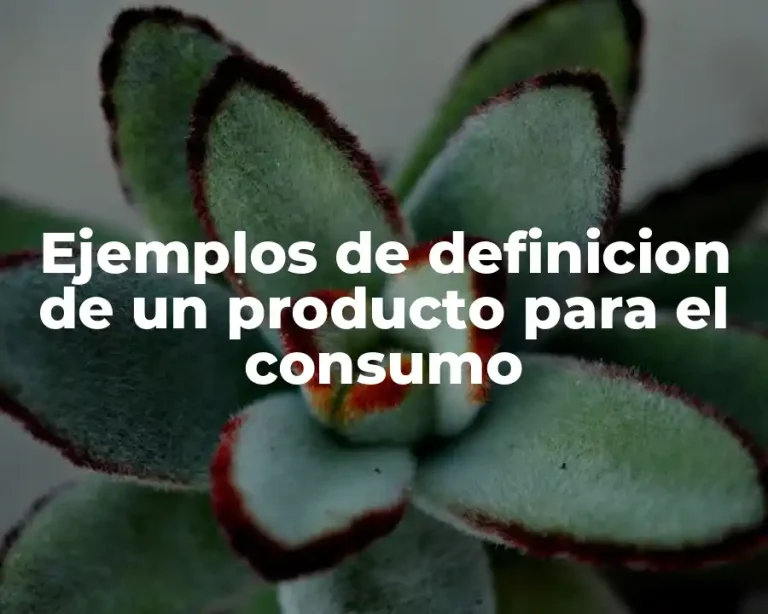 Ejemplos de definicion de un producto para el consumo