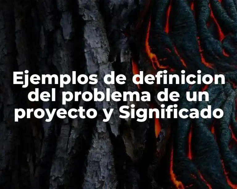 Ejemplos de definicion del problema de un proyecto y Significado