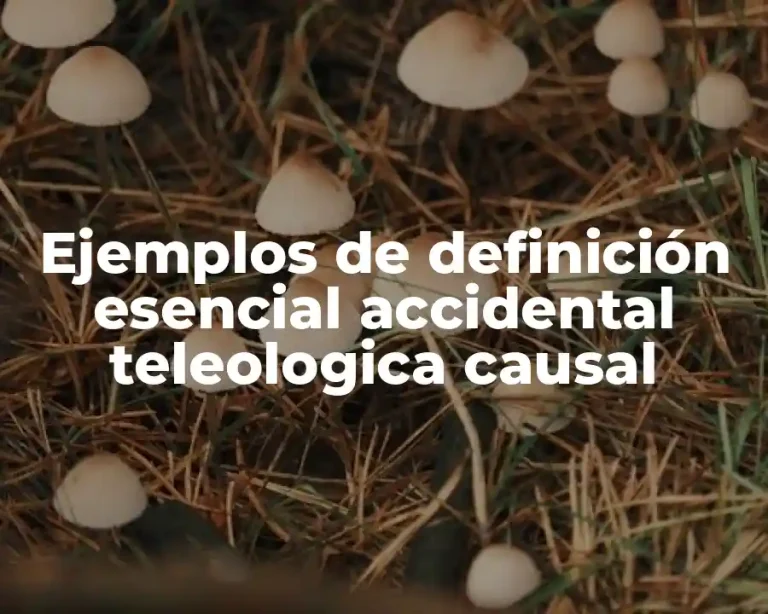 Ejemplos de definición esencial accidental teleologica causal