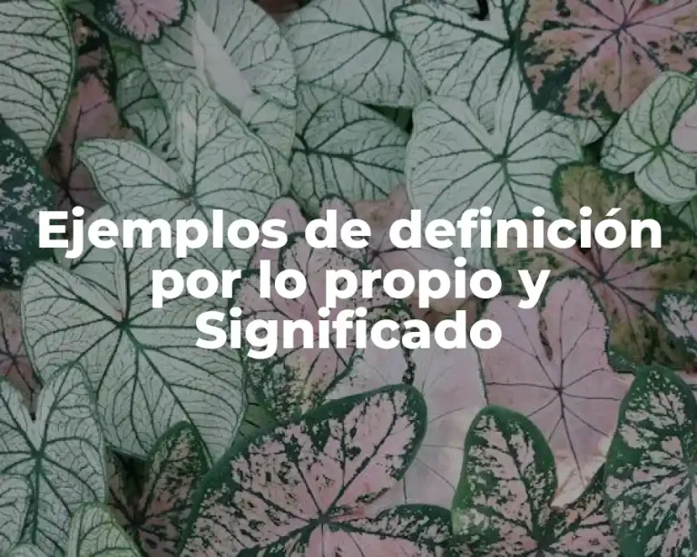 Ejemplos de definición por lo propio y Significado
