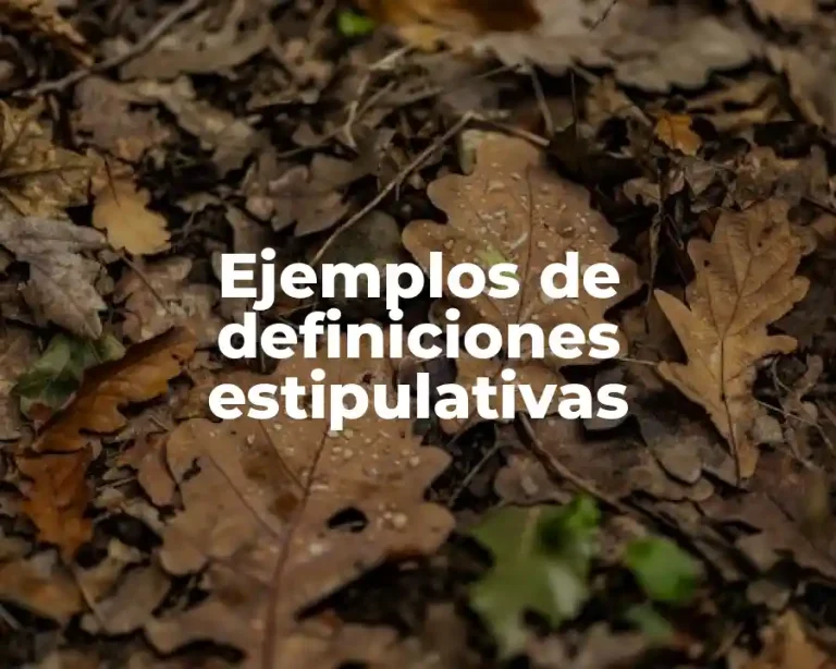 Ejemplos de definiciones estipulativas