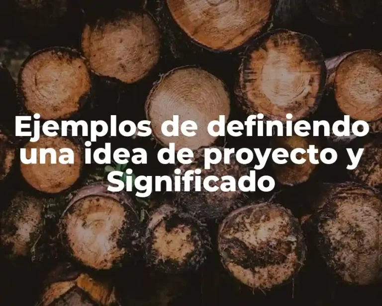 Ejemplos de definiendo una idea de proyecto y Significado