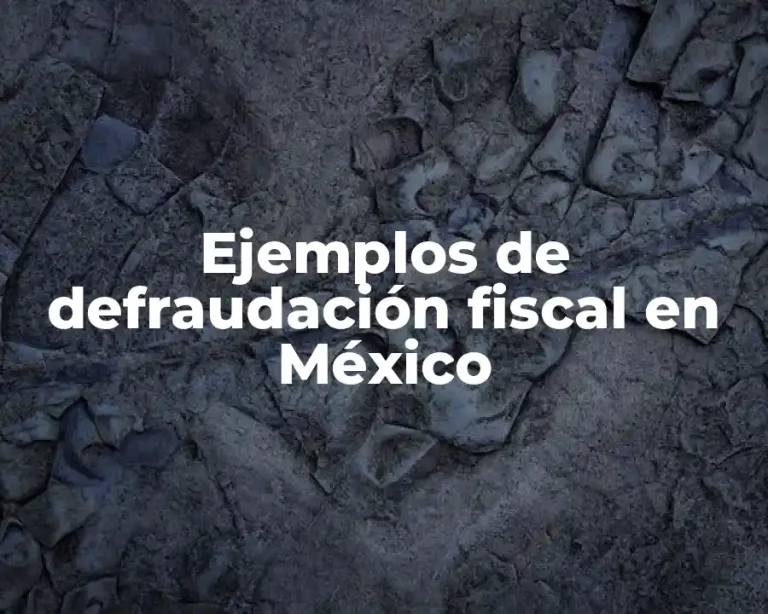Ejemplos de defraudación fiscal en México