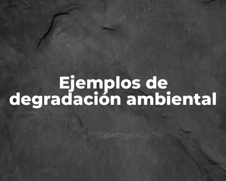 Ejemplos de degradación ambiental