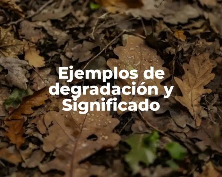 Ejemplos de degradación y Significado