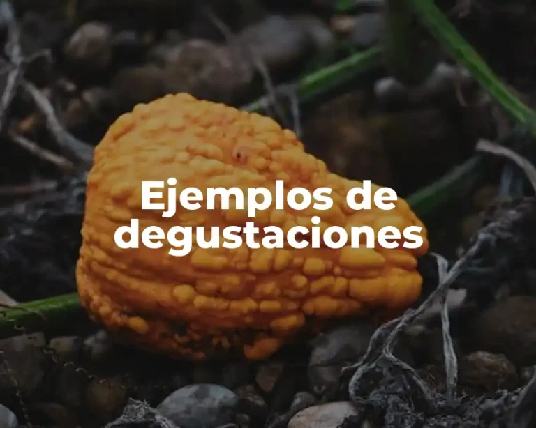Ejemplos de degustaciones