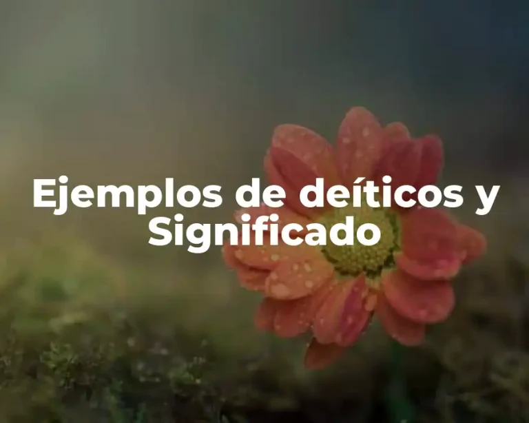 Ejemplos de deíticos y Significado