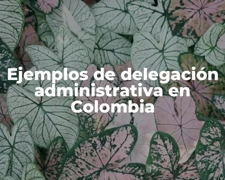 Ejemplos de delegación administrativa en Colombia