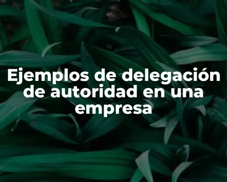 Ejemplos de delegación de autoridad en una empresa