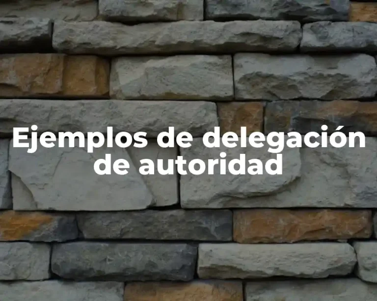 Ejemplos de delegación de autoridad